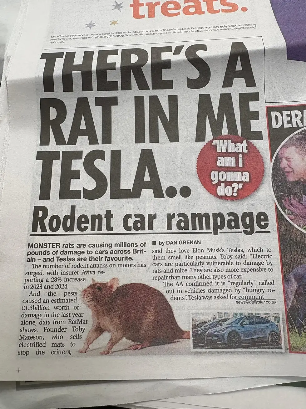 The Daily Star - There’s A Rat In Me Tesla, What Am I Gonna Do?