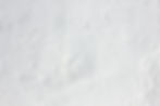 White Flakey Backdrop_edited.jpg