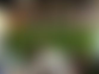 Pickleball as a Lifestyle: More Than Just a Game