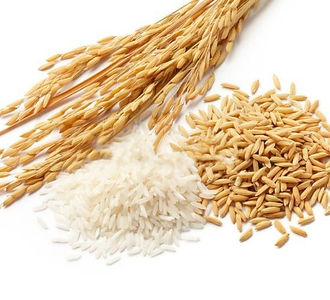 Rice Bran.jpg
