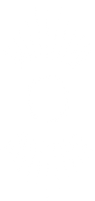 Tanja Odermatt_Icon weiss