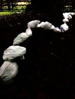 Untitled, Mushroom light installation, re-purposed plastic bags, containers and lights, 2019.