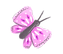 Butterfly (1).png