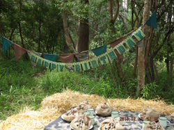 DSCF0575.JPG