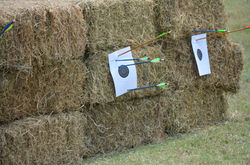 DSC_0451 - Copy.JPG