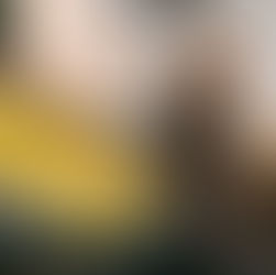 The Important Role of Expert Cleaning Services in Today's World