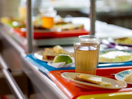 ОРГАНИЗАЦИЯ ПИТАНИЯ В ШКОЛАХ ГАГАУЗИИ: выполнение финансового норматива и мониторинг качества