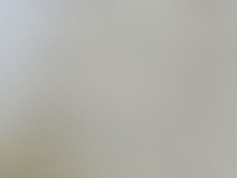 Внеочередное заседание Городского совета отменяется