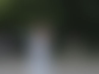 6 июля в городском парке был проведен вечер музыки