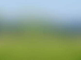 Информация от Территориального подразделения касательно амброзии