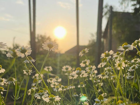 В Молдову приходит лето: синоптики обещают +30 градусов