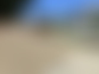 Примария города продолжает работы по грейдированию дорог