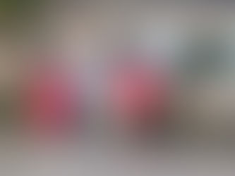 В Национальную Армию РМ были призваны 3 жителя г.Вулканешты