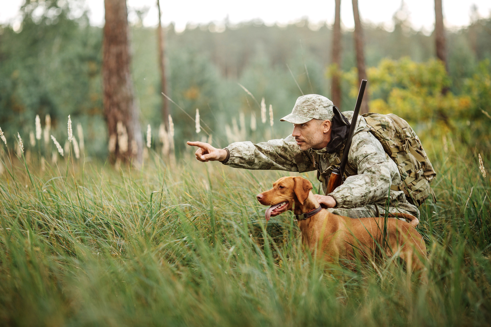 Hunt Expert - приманка для диких копытных животных в Артёме