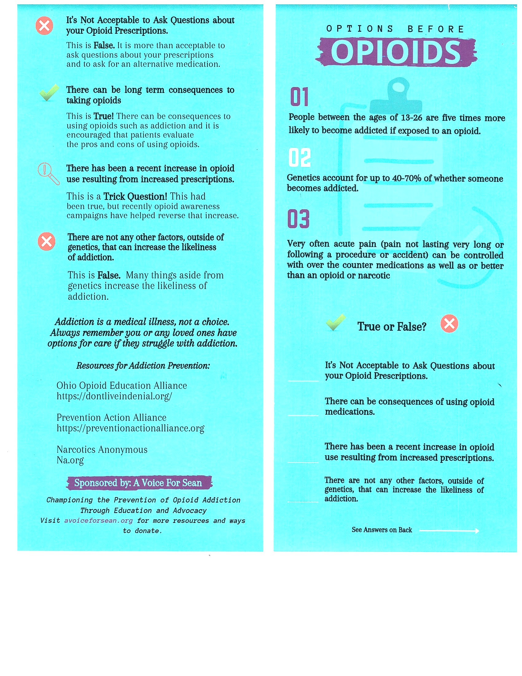 Rack card | A Voice for Sean