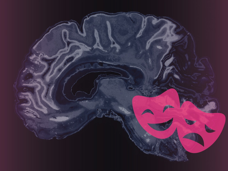 The Amygdala - Navigating emotions