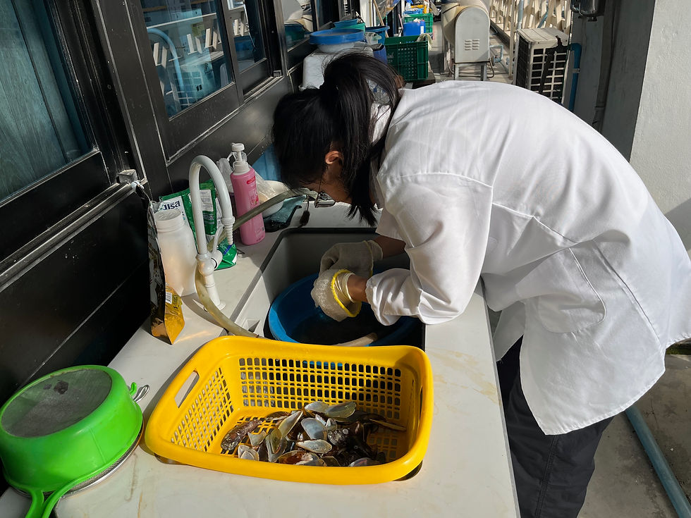 Backup Jan 2025 - 4845 of 4957