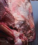 Carnicero Carne colgantes
