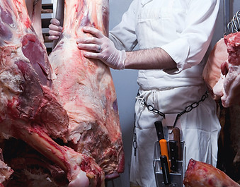 Butcher Hanging Beef