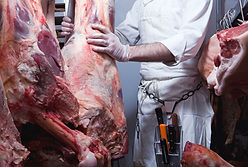 Butcher Hanging Beef