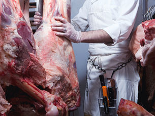 The Monopoly on Meat