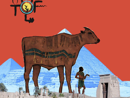 Molotof & Obada - Hakawy Dahab (Gold Stories) 2024