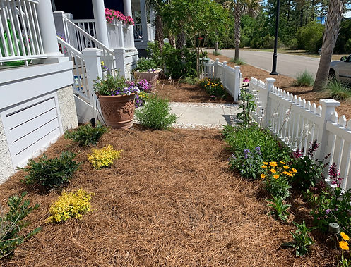 perennial garden at the beach 