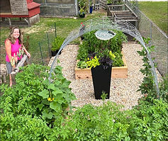 vegetable garden