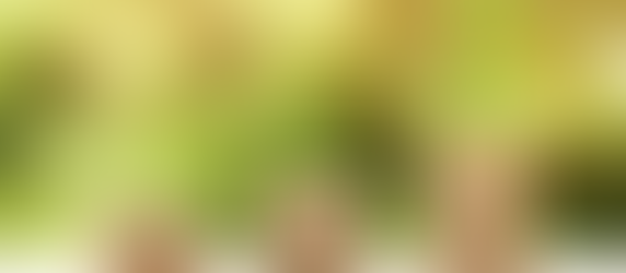 FCA and the MAS: Sustainable Finance and Sustainable Growth?