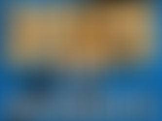 Top Moments of 2025: Celebrating a Year of Success