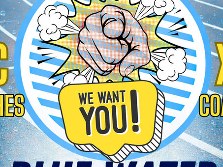 Blue Water Area Cross Country Coaches Wanted for Season Preview 