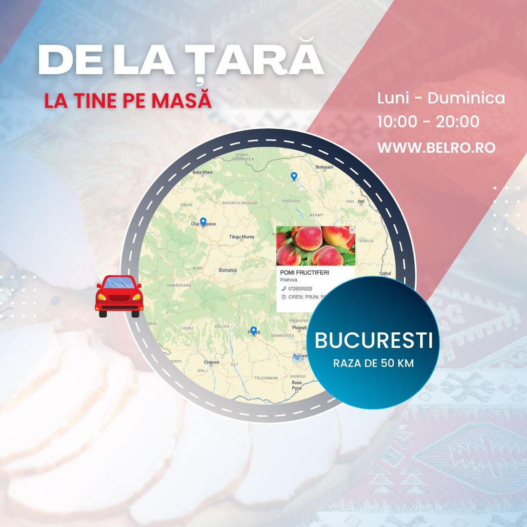 Transport București