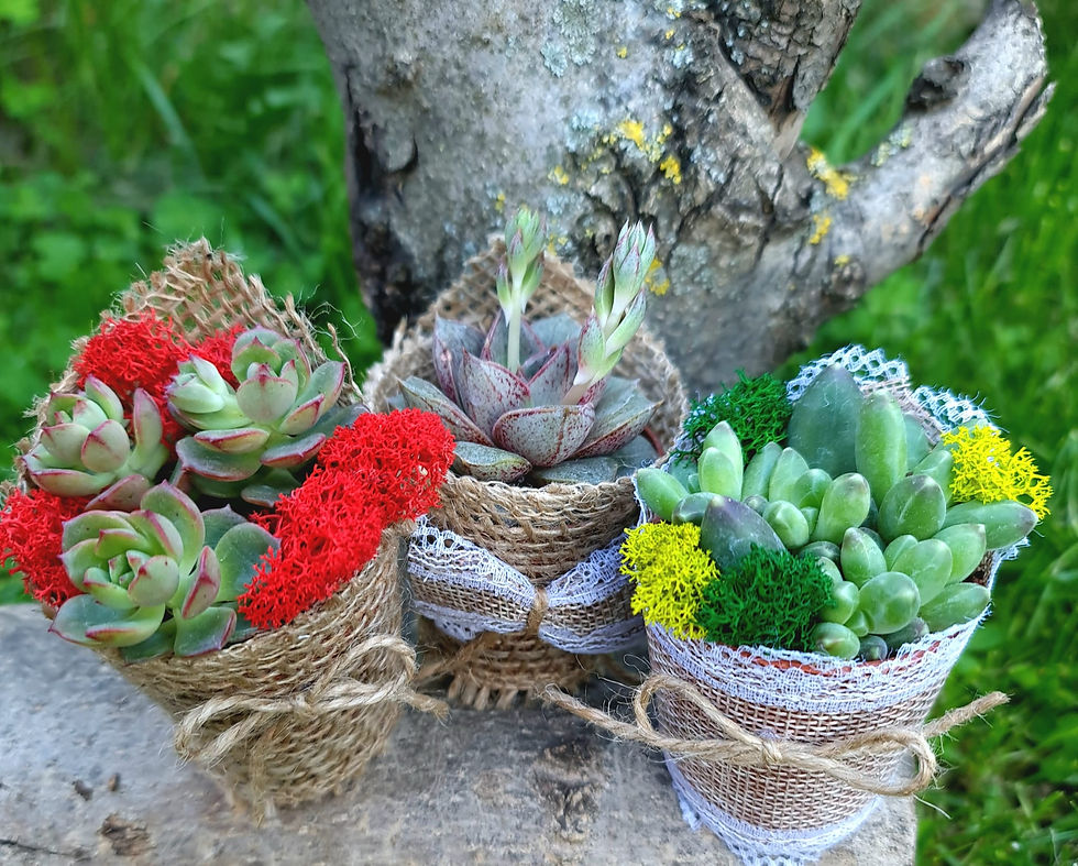 Miniatură: marturii botez