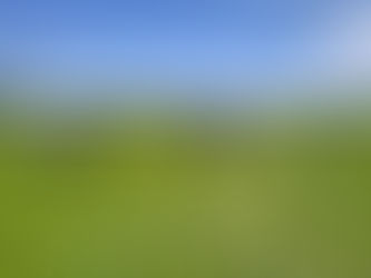 Innovation from the ground up - how collaboration drives better farming solutions