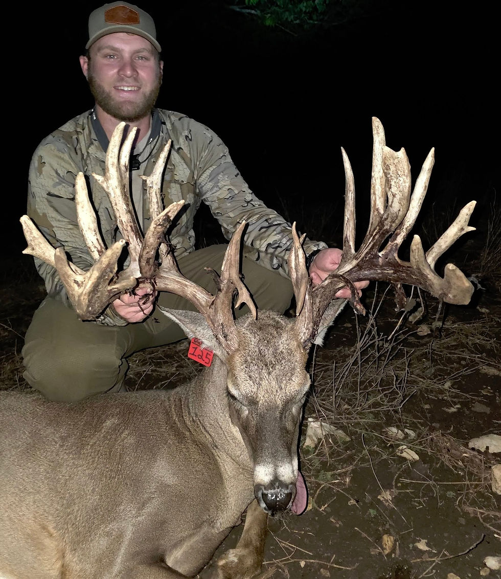 Deer 9.jpg