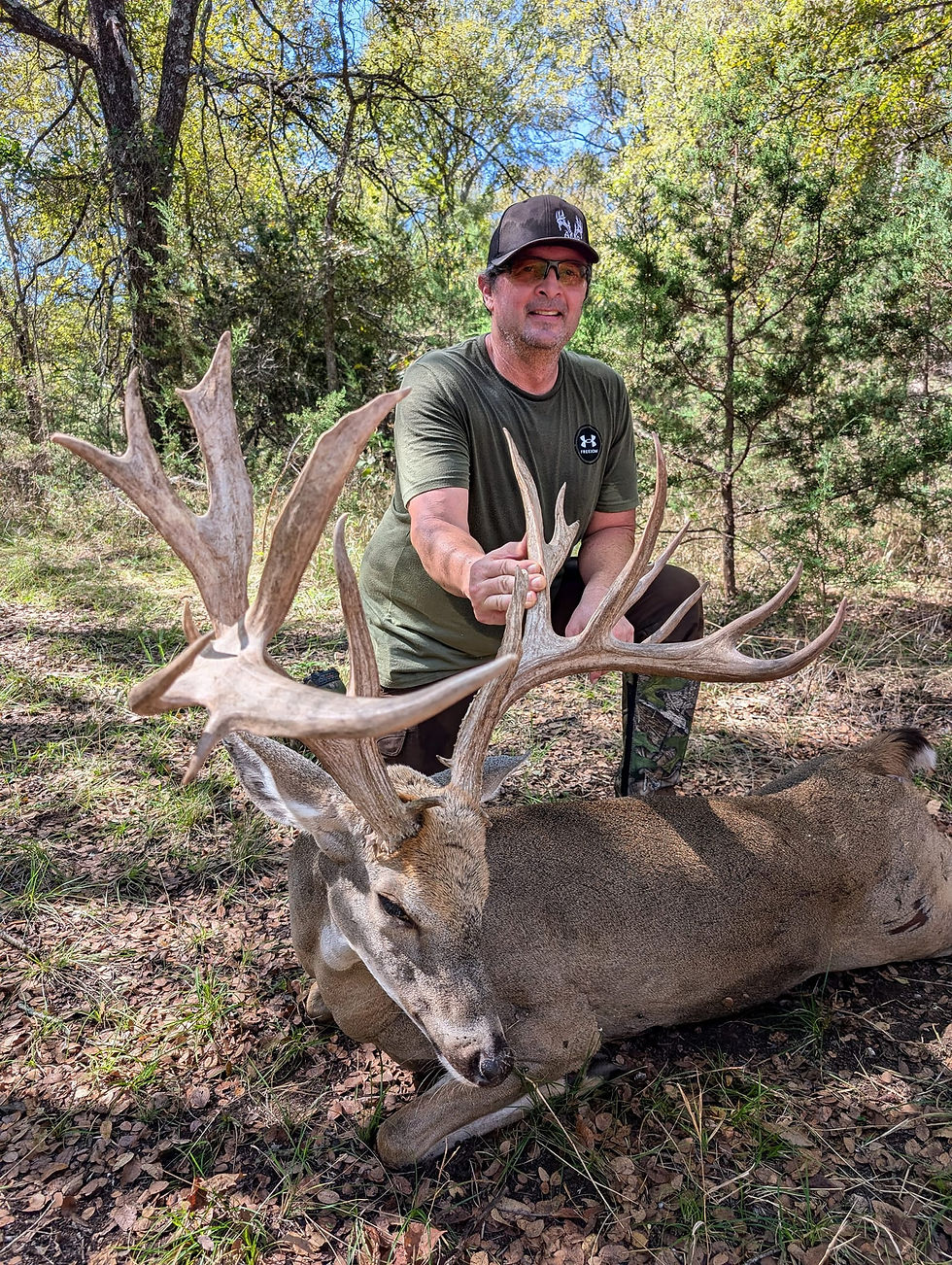 Deer 17.jpg
