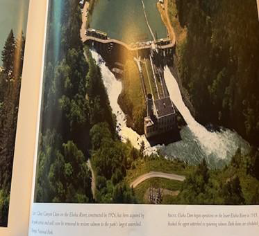 Field Journal – Observations Along the Lower Elwha