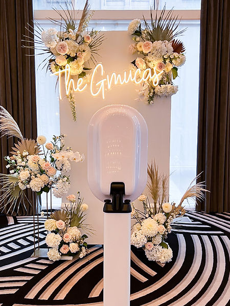 Lux Lite with custom backdrop