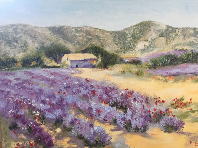 Champ de lavandes.jpeg