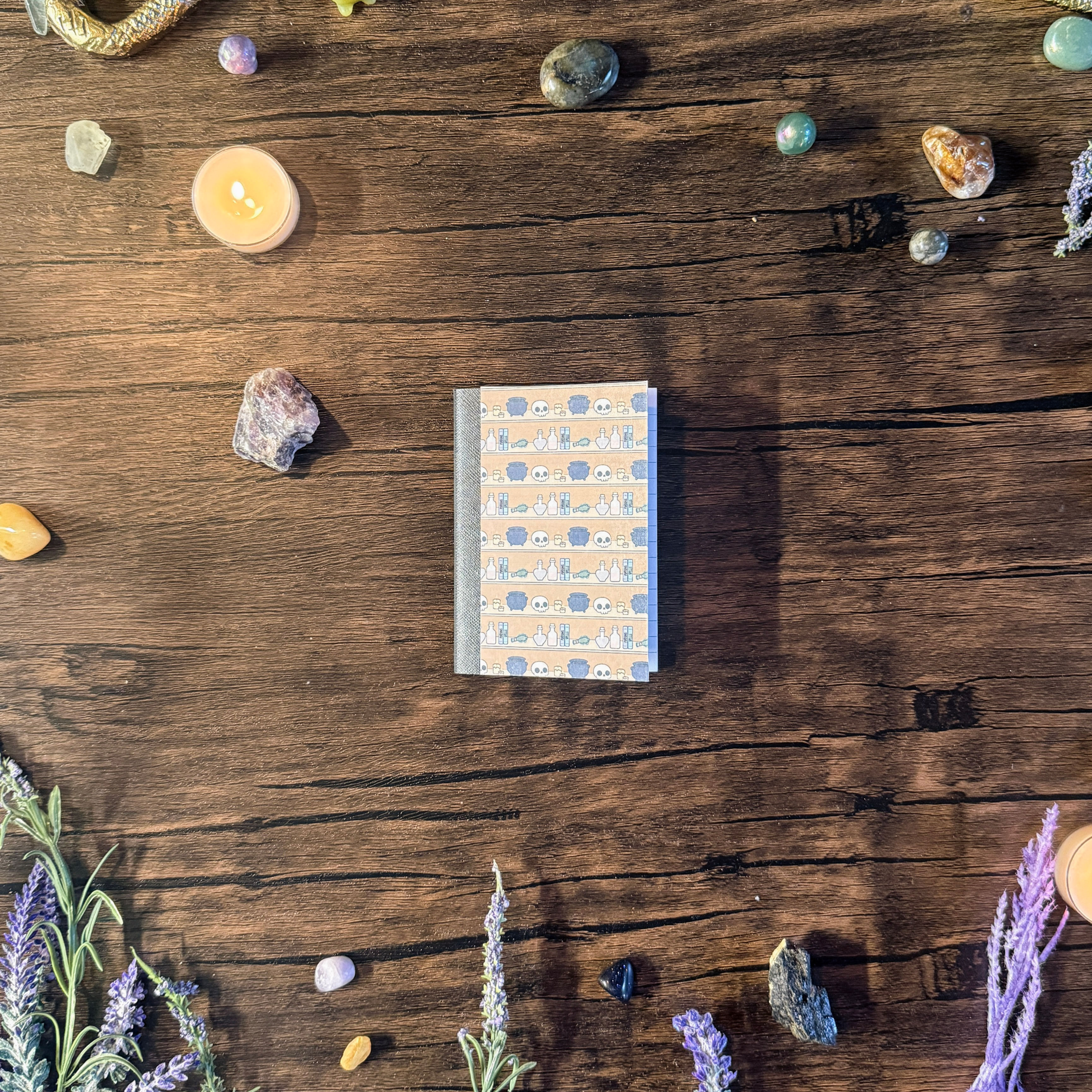 Witch's Shelf Mini Notebook
