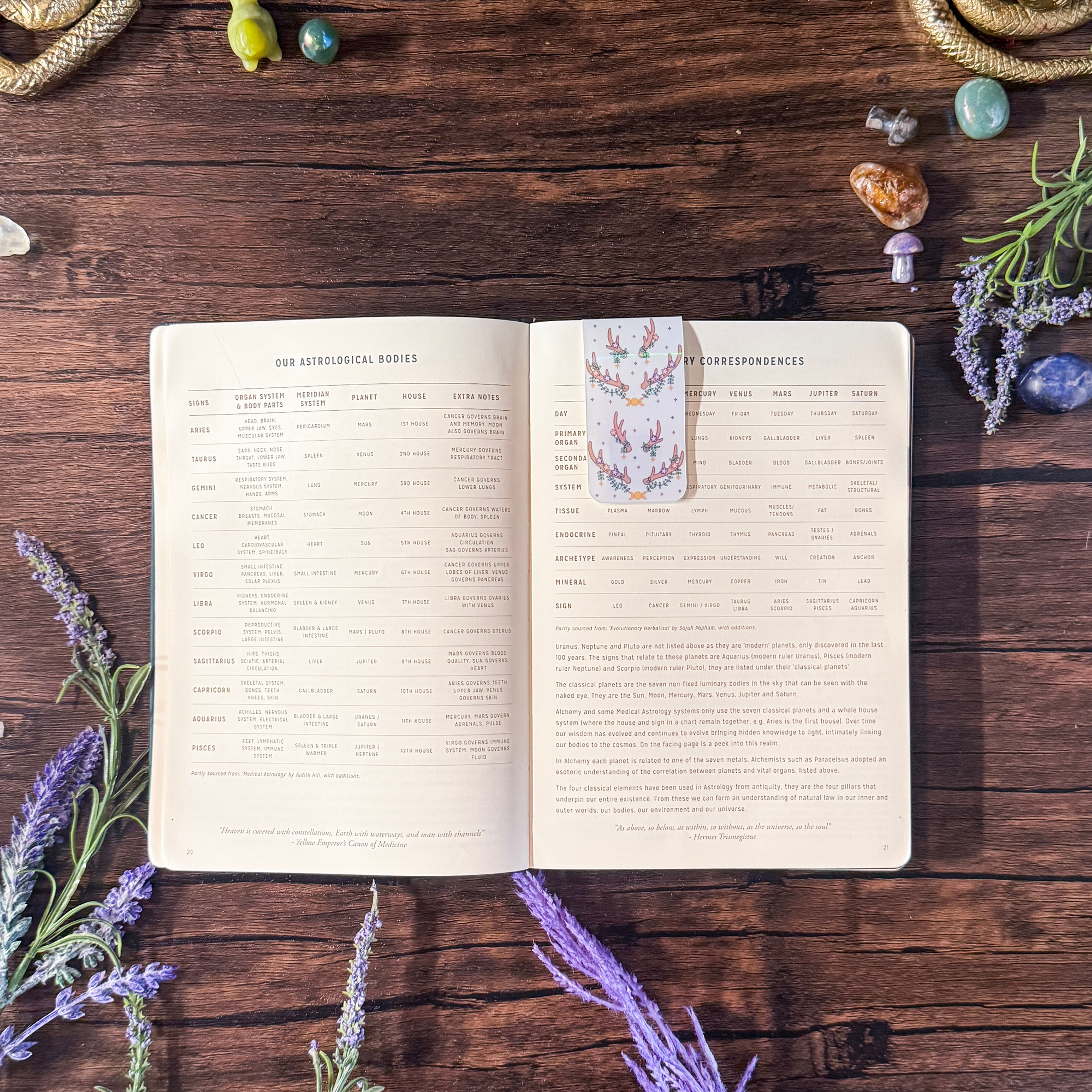 Buck Moon Magnetic Bookmark