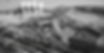 b70e39_1ac401b8e5e4493ebecd7b85d9eceaf4~mv2.png