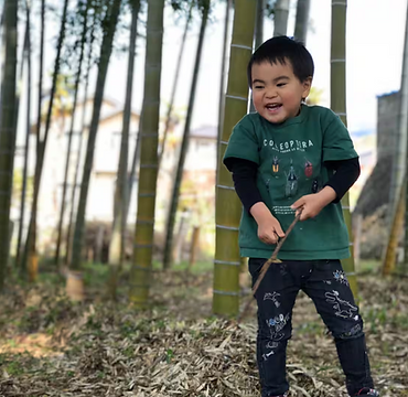 Play in the Nature.png