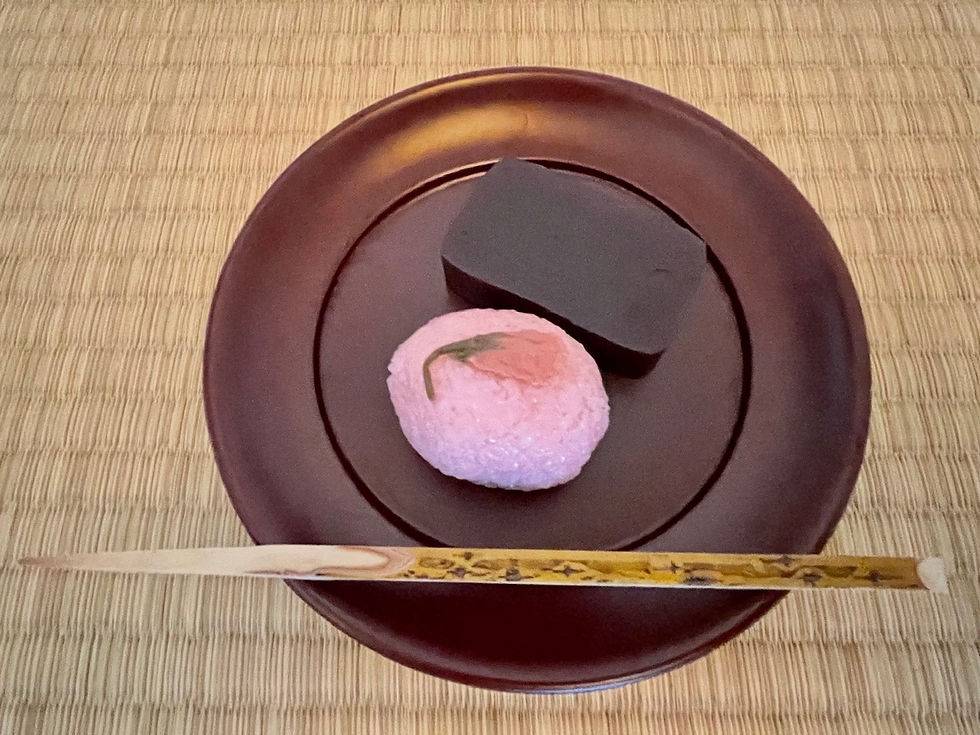 hanami2023-7
