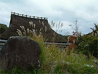 tanba01