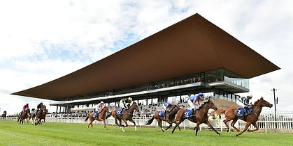 Curragh Racecourse.jpeg