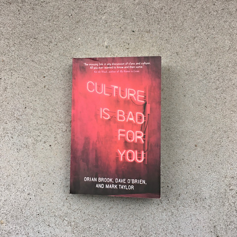 Libro Culture is Bad for You: Inequality in the Cultural and Creative Industries