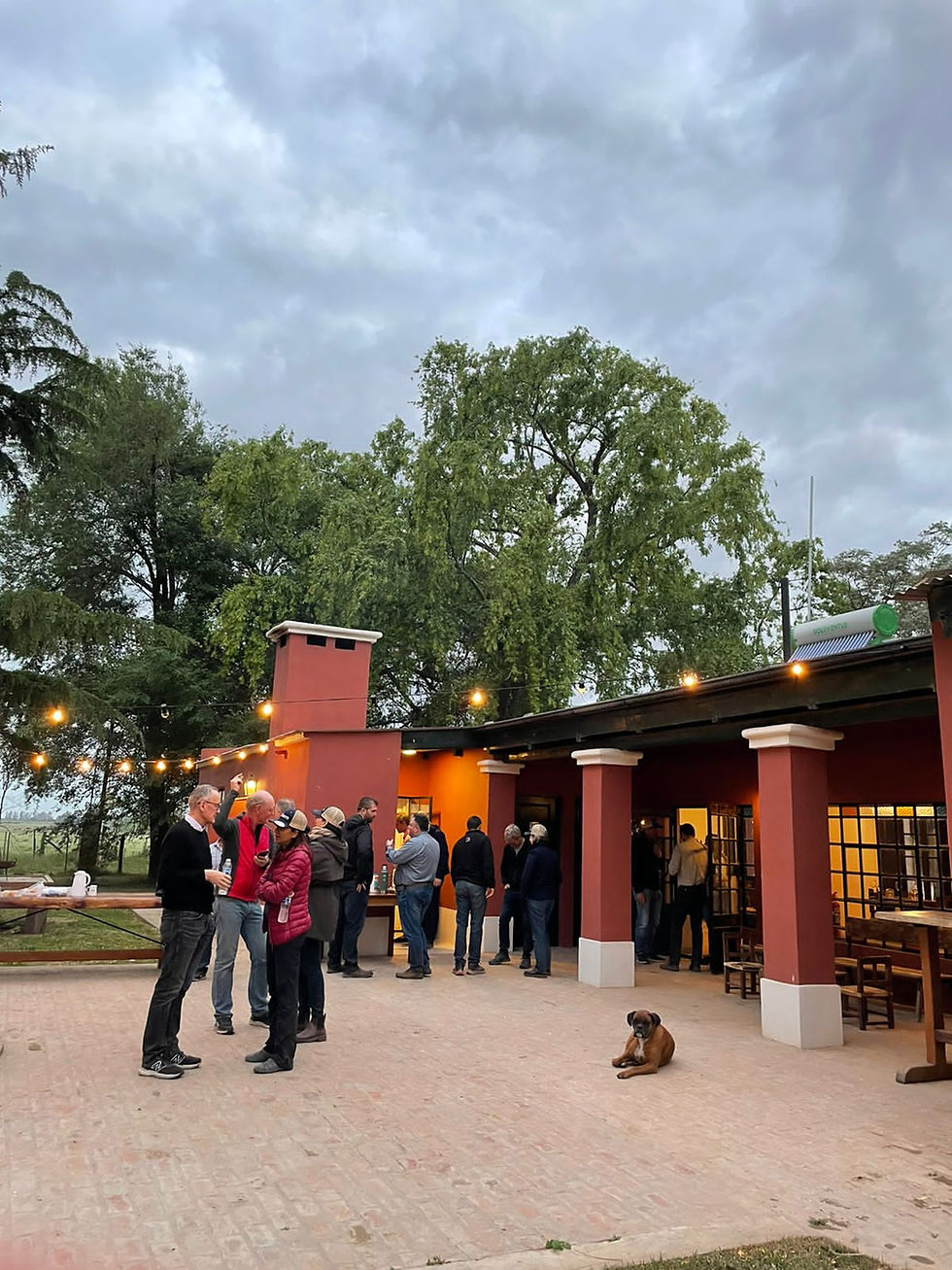 Degustación de Vinos Amansado en Areco