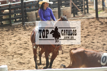 IMG_5528TOPCAVALOS.JPG