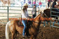 IMG_1882TOPCAVALOS